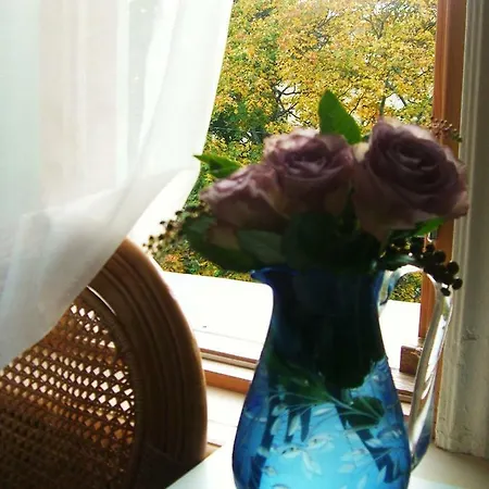 Apartamento Gozy With Balcony In The Heart Of Kalamaja Tallin